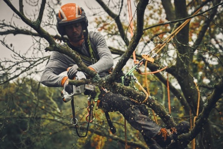 Pack scies à branches GTA 40 STIHL